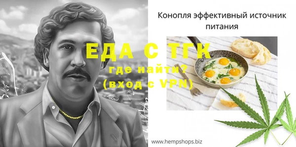 прущий лед Алзамай