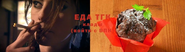 гидра Абаза