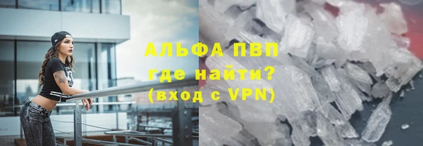 гидра Абаза