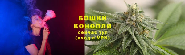 гидра Абаза