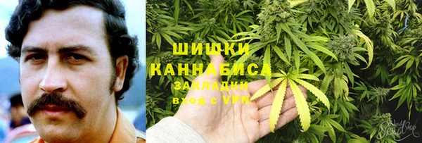 гидра Абаза