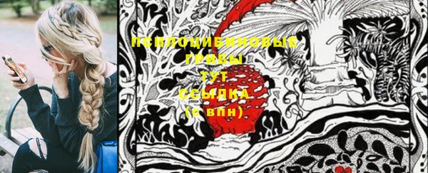 шишки Абинск