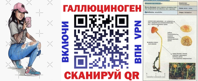 Галлюциногенные грибы GOLDEN TEACHER  OMG сайт  Ртищево  закладка 